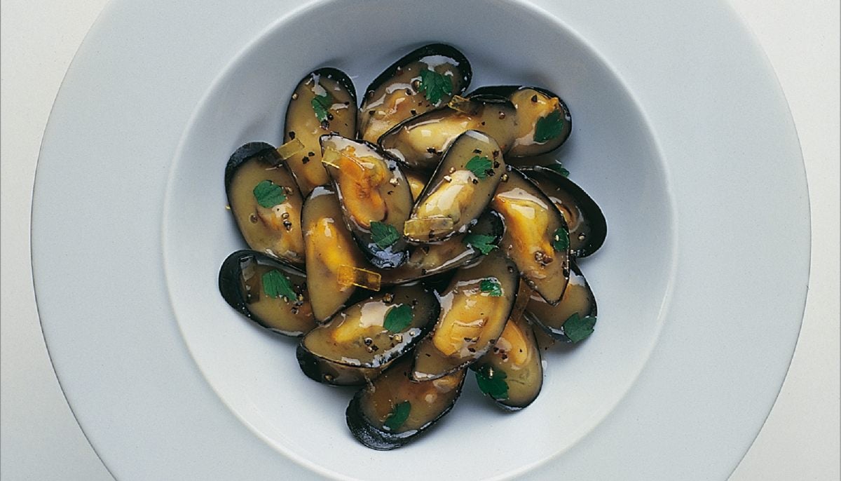 Soupe Crémeuse de Moules - L'Atelier du Poissonnier – Le Coin des Épicuriens