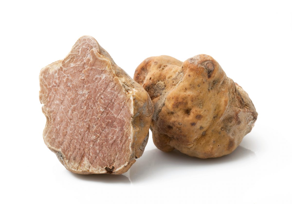 truffe-blanche-copy.jpg?poix=50u0026poiy