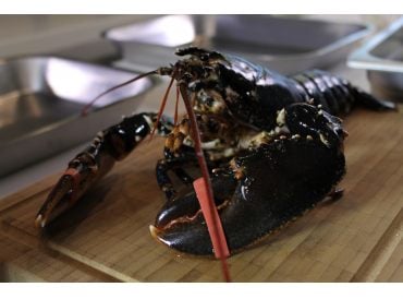 Cuire et décortiquer un homard - Glossaire culinaire