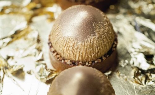 Recette de Praliné noisette par Cédric Grolet - Académie du Goût